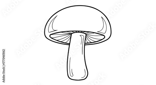 Stylized Mushroom Line Drawing with Spotted Cap and Radiating Gills