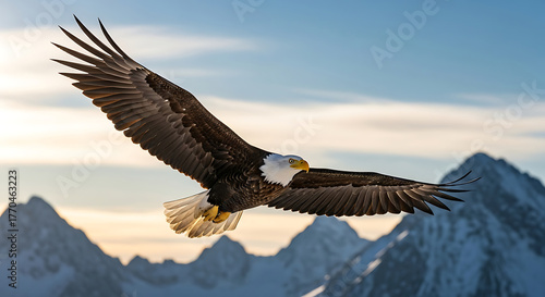 Wallpaper Mural Bald Eagle Flying Above Mountains Against Beautiful Sky In Natural Habitat Wildlife Bird Predator Torontodigital.ca