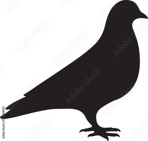 Pigeon Standing Vector Silhouette