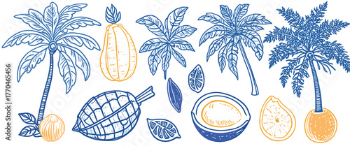 Colorful illustrations of tropical plants and fruits in blue and yellow tones