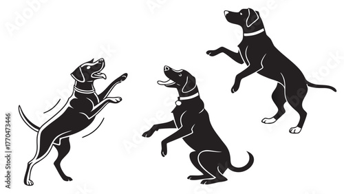 Three black dogs in playful poses with collars standing and reaching up on a white background created with generated ai