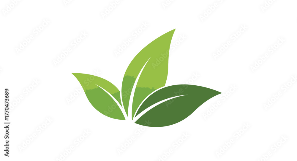 Fototapeta premium Three green leaves arranged in a stylized, symmetrical pattern against a white background.