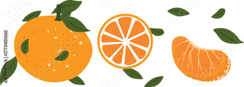 Fruit mandarin isolated on white background