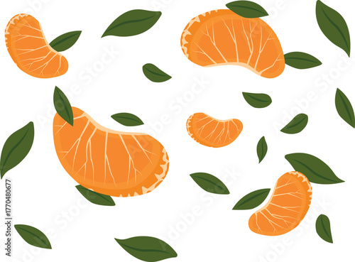 Fruit mandarin isolated on white background