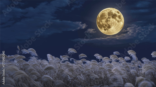 Full moon shining brightly over a field of tall grass at night