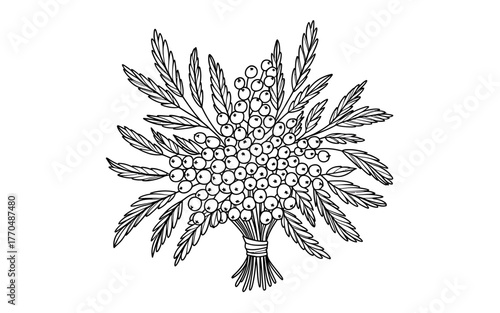 Elegant Black and White Rowanberry Bouquet Illustration Detailed Botanical Line Art Isolated on White Background for Creative Designs