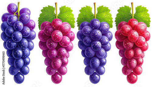 Four bunches of colorful grapes; purple, pink, blue and red; with attached green leaves, isolated on a black background