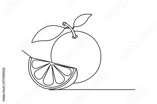 
Orange fruit continuous one line drawing minimalist outline vector illustration