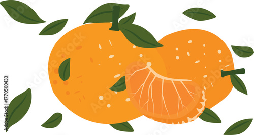 Fruit mandarin isolated on white background