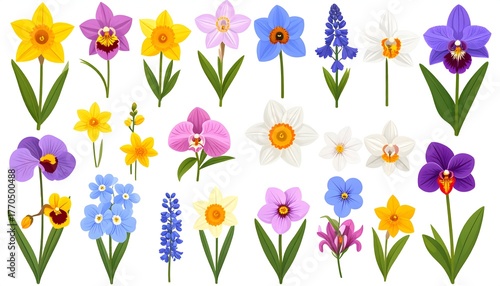 Colorful spring flowers collection flat vector design high resolution photo