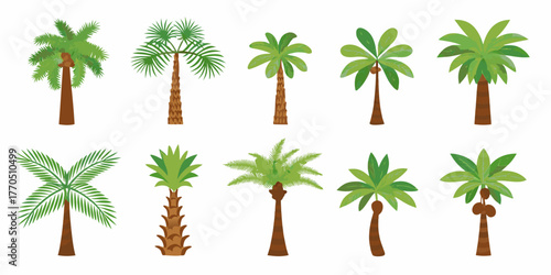 Collection of ten diverse stylized palm trees with green foliage and brown trunks on a white background
