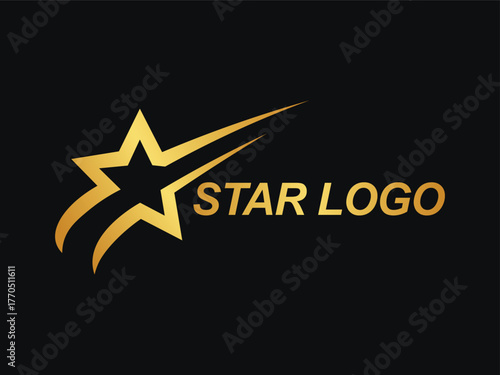 Modern and unique geometric star logo design. Logos for businesses, brands, and companies.