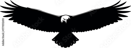 Eagle silhouette front view, wings spread wide, black and white vector, powerful pose, freedom symbol, fierce bird, patriotic illustration