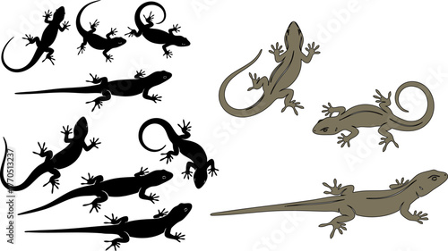 Three stylized lizards arranged on a black background creating a simple pattern