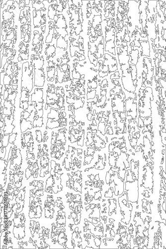 Elongated tissue structure featuring stretched linear outlines that mimic fibrous organic alignment.