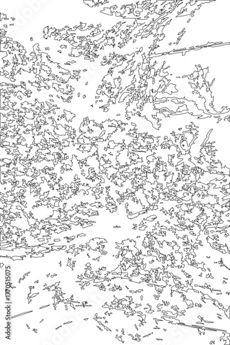 Heterogeneous fiber mix displaying interlaced linear strands with varied directions and irregular thickness.