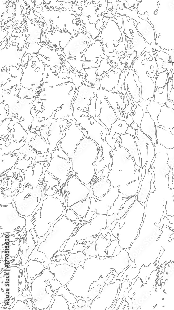 Fototapeta premium Irregular cell network featuring asymmetrical interconnected outlines that resemble uneven biological compartments.