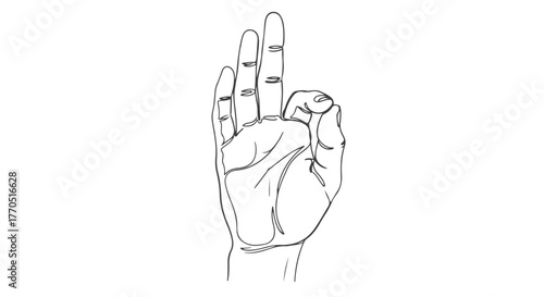 One continuous line illustration of a hand gesturing okay, representing success in a simple style. ww
