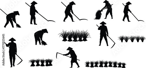 Silhouette farmers harvesting rice crops with traditional tools, rural agriculture workers, Asian farming vector illustration for agriculture, village field work