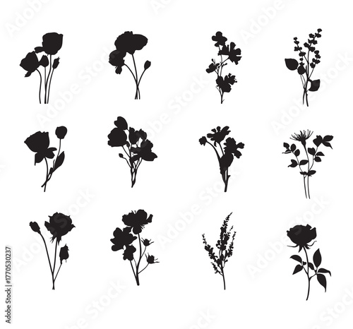 Silhouettes of a collection of dried flowers and decorative ribbons. Including roses, daisies, and wildflowers.