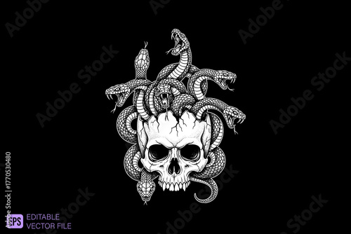 Skull with Snakes Medusa Head Illustration.