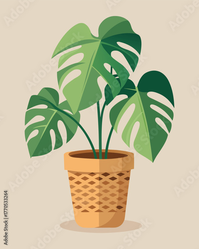 A cartoon illustration of a green monstera deliciosa plant in a pot on a beige background girl avatar