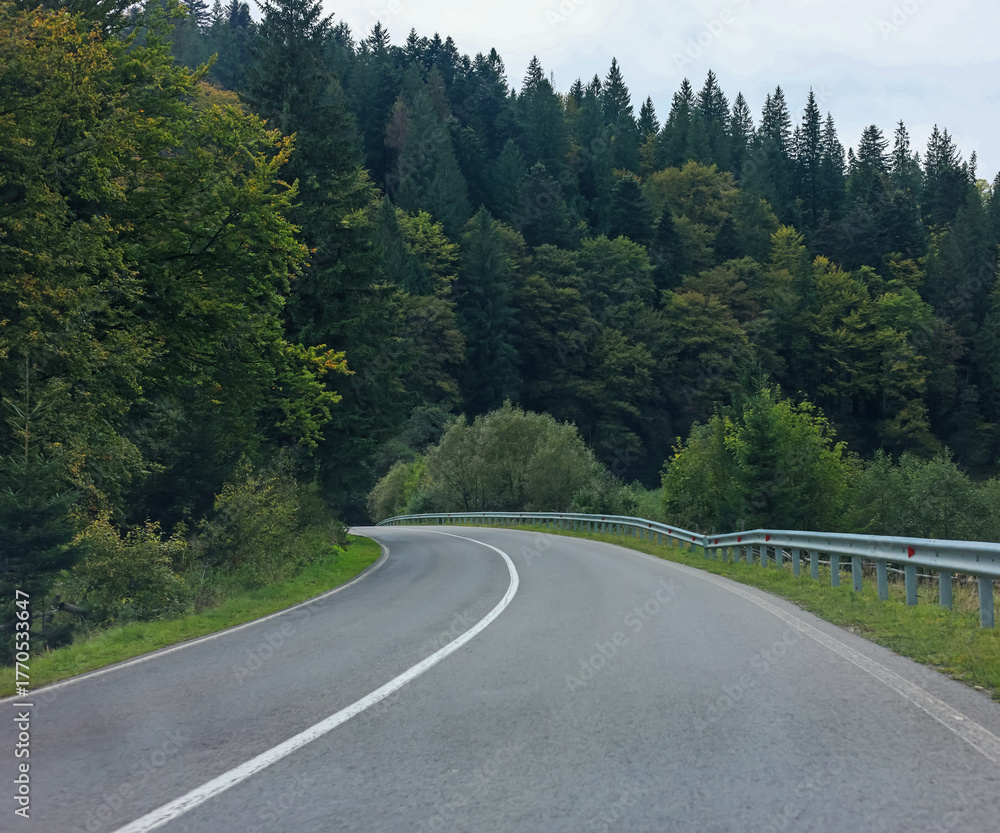 Naklejka premium Beautiful view of green trees and asphalt road