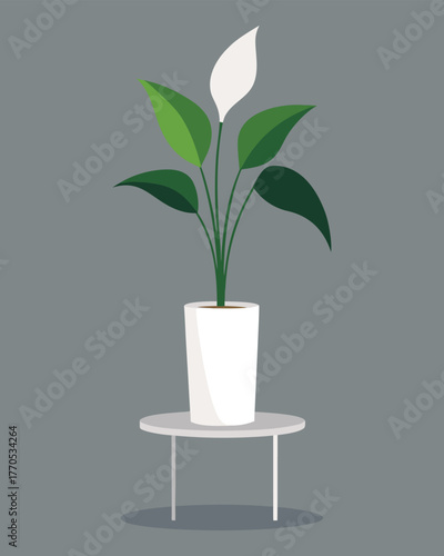 Peace lily in a white pot on a table, a beautiful houseplant for home decoration, vector illustration girl avatar