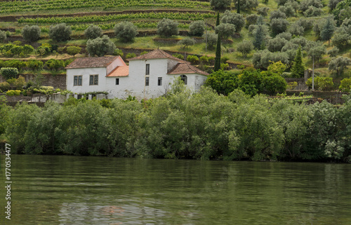 Villa and vineyards  in the Douro Valley 