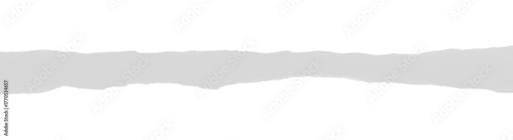 Obraz premium Torn paper strip overlay