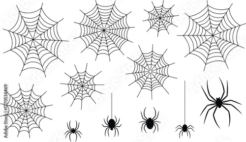 WebBlack and white spider web and spider illustration set, Halloween design elements collection, creepy cobweb decoration, vector silhouette background