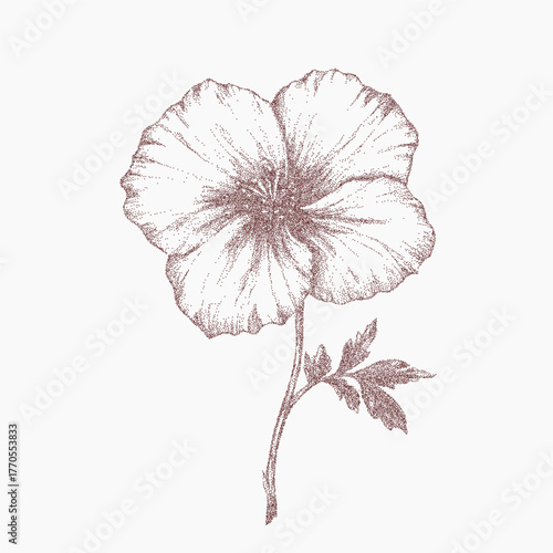 Red poppy design. Faded brush form with ink blotches, fine grit texture, and smudged threshold. Worn paper background with soft speckled noise.