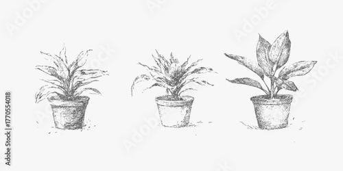 Stylized flower pots with painted detail, halftone shading, retro palette, dusty ink texture and a paper surface that evokes vintage botanical drawings.