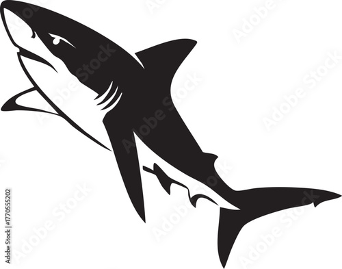 Adobe Illustrator Artwork Black and white horse head silhouette vector illustration, elegant equine animal design, strong and graceful stallion artwork for logo, tattoo, or print