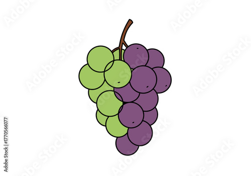A cartoon bunch of grapes green on the left and purple on the right with a brown stem
