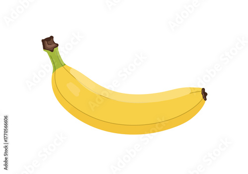 A single yellow banana curves gently with brown tips and a green stem