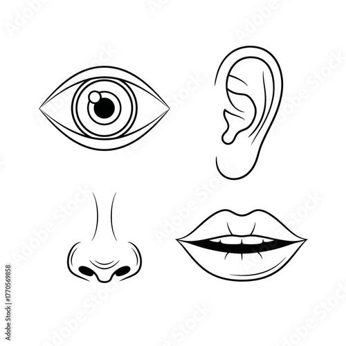 Illustration depicting four human senses: sight (eye), hearing (ear), smell (nose), and taste (lips/mouth).