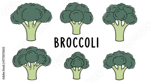 Stylized green florets illustration set, ideal for vibrant healthy eating promotions, organic food designs, and engaging nutritional education materials