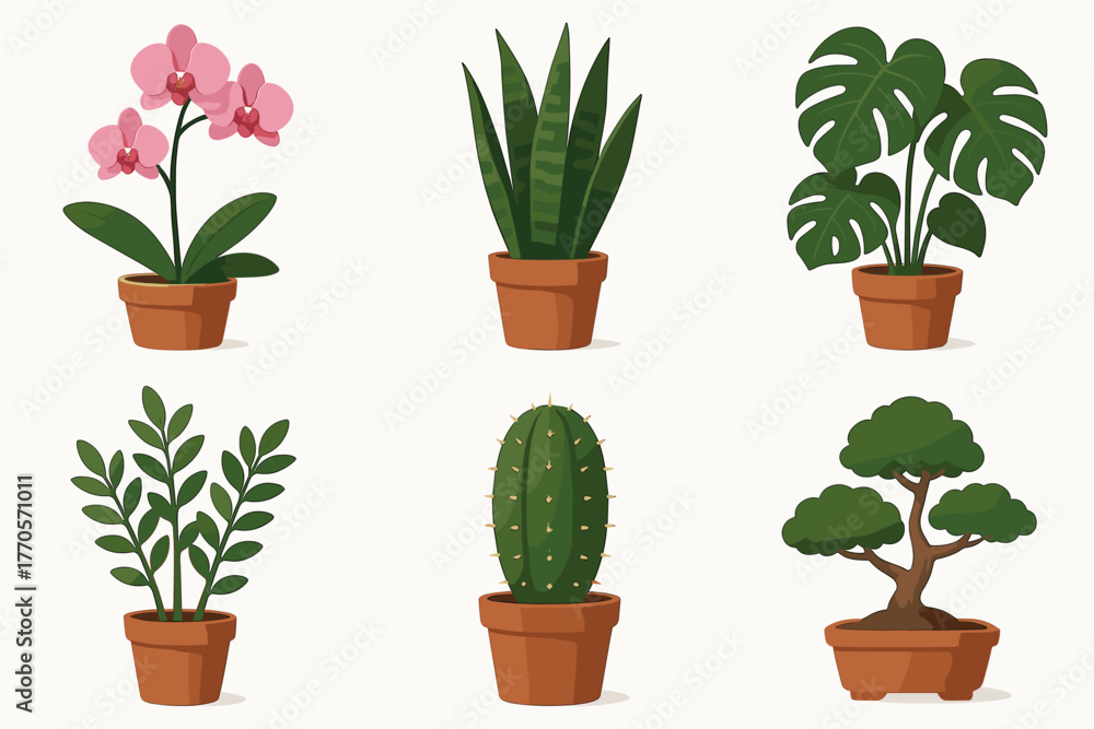 Obraz premium A set of 6 colorful vector illustrations of indoor plants in terracotta pots. Style: cartoonish, flat, with soft shadows, on a white background. The pots are identical, brown-terracotta.