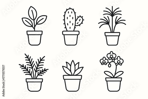 A set of 6 black and white line icons of indoor plants in pots. All plants are in identical simple pots. The style is clean, minimalistic, without fill, on a white background.