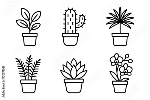 A set of 6 black and white line icons of indoor plants in pots. All plants are in identical simple pots. The style is clean, minimalistic, without fill, on a white background.