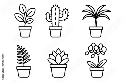 A set of illustrated outline images of indoor plants in pots on a white background. All plants are rendered in black and white with simple lines.