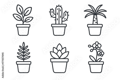 A set of illustrated outline images of indoor plants in pots on a white background. All plants are rendered in black and white with simple lines.