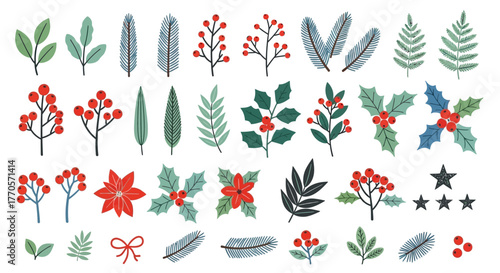 Festive Botanical Elements A Collection of Christmas and Winter Holiday Illustrations