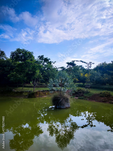 selective focus picture of a pond in the park