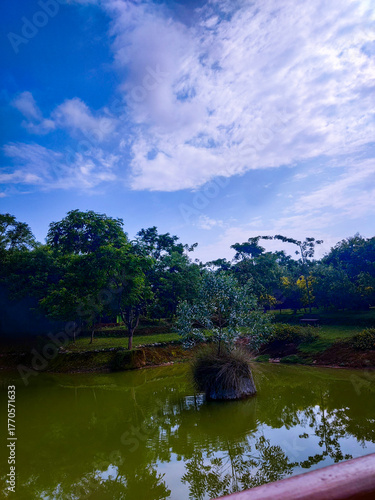 selective focus picture of a pond in the park