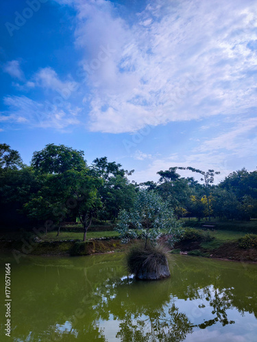 selective focus picture of a pond in the park