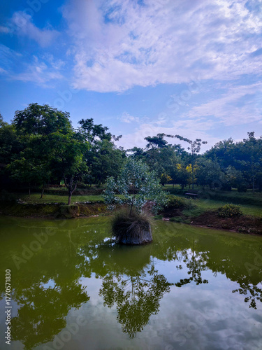 selective focus picture of a pond in the park