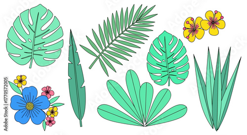 A collection of isolated tropical leaves and exotic flowers, vector illustration elements for summer poster design and botanical backgrounds