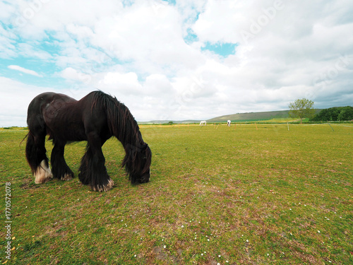 English countryside landscape and nature